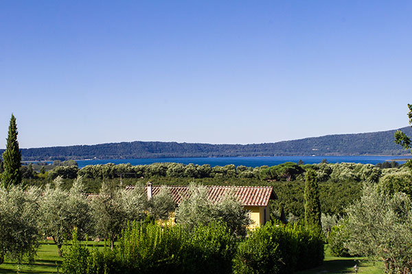 La Valle di Vico - Agriturismo