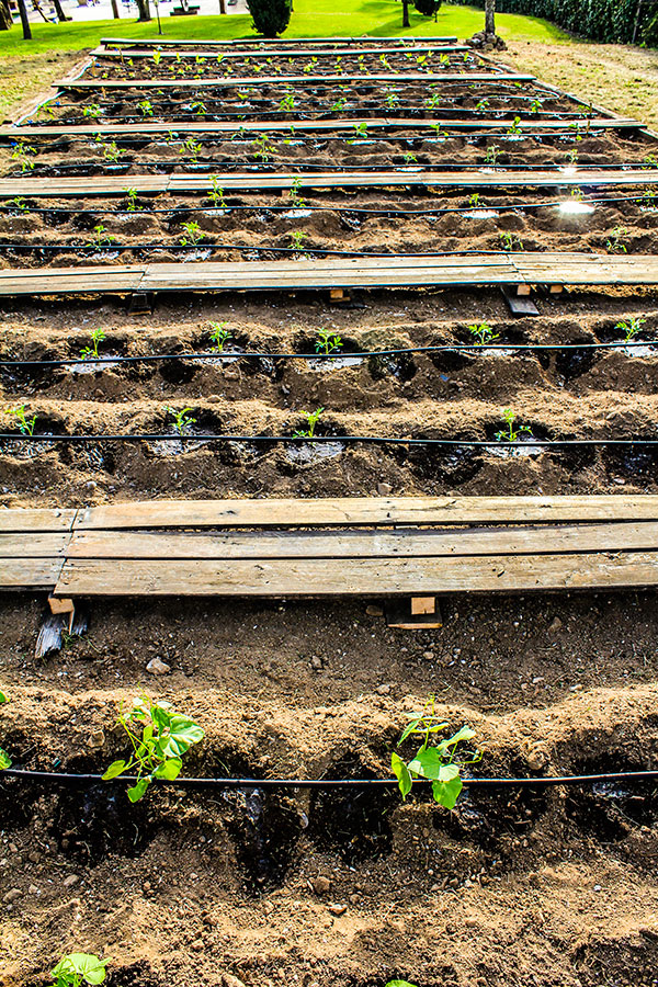 La Valle di Vico - Instagram Foto
