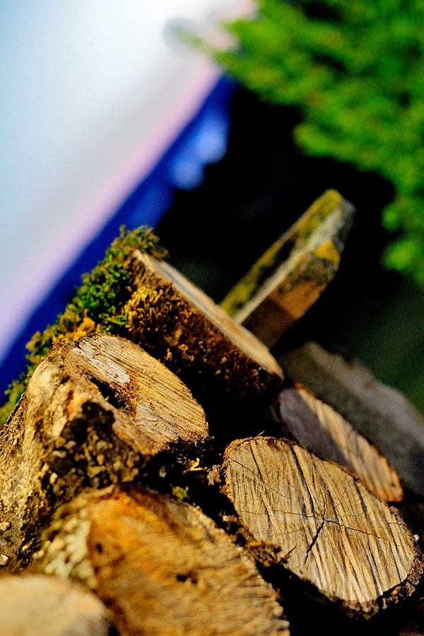 La Valle di Vico - Parco